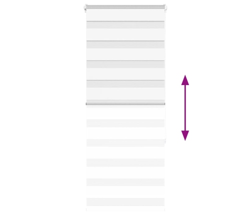 Žalūzijas Zebra 60X150 Cm Auduma Platums 55,9 Cm Poliesters Vidaxl