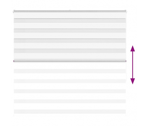 Žalūzijas Zebra 160X150 Cm Auduma Platums 155,9 Cm Poliesters Vidaxl