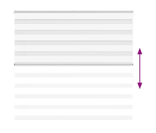 Žalūzijas Zebra 165X150 Cm Auduma Platums 160,9 Cm Poliesters Vidaxl