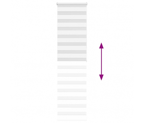 Žalūzijas Zebra 60X200 Cm Auduma Platums 55,9 Cm Poliesters Vidaxl