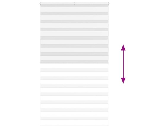 Žalūzijas Zebra 120X200 Cm Auduma Platums 115,9 Cm Poliesters Vidaxl