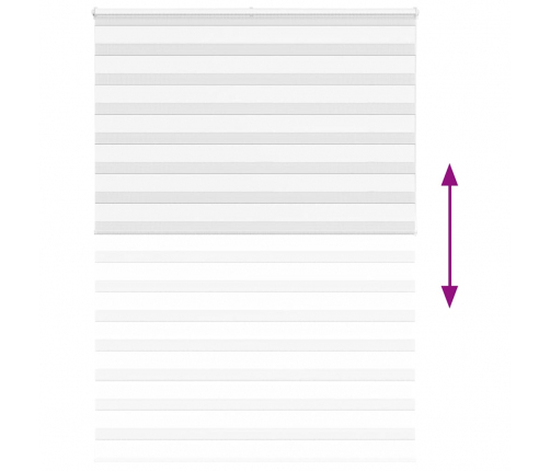 Žalūzijas Zebra 155X200 Cm Auduma Platums 150,9 Cm Poliesters Vidaxl