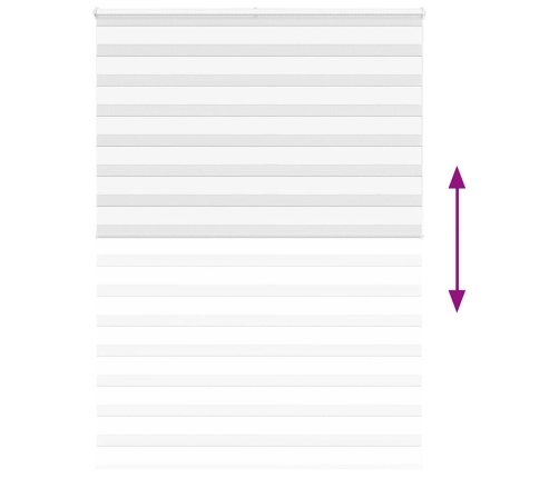 Žalūzijas Zebra 160X200 Cm Auduma Platums 155,9 Cm Poliesters Vidaxl