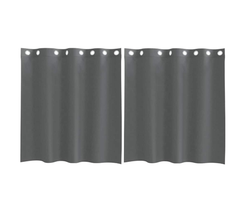 Voile Aizkari Ar Starplikām, 2 Gab., Tumši Pelēki, 140X140 Cm Vidaxl