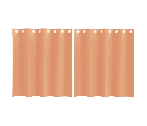 Voile Aizkari Ar Starplikām, 2 Gab., Sarkanbrūni Vidaxl