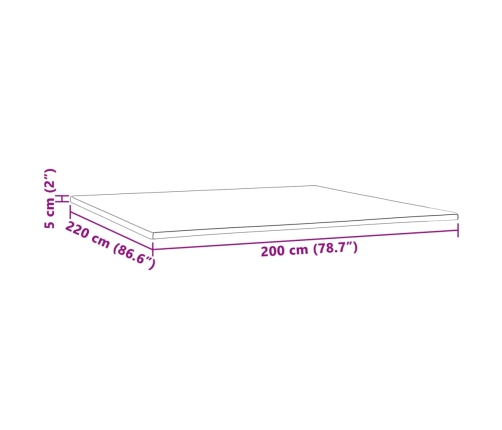 vidaXL virsmatracis, 200x220x5 cm