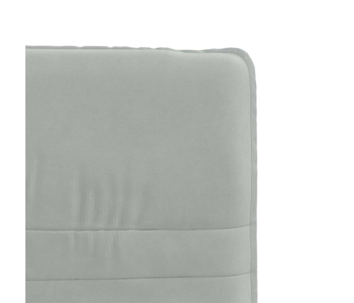 Virtuves Krēsli, 2 Gab., Gaiši Pelēks Samts Vidaxl