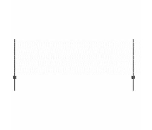 Žogs Ar Stabiem. Pelēka 0.8 X 10 M Tērauds Vidaxl