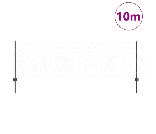 Žogs Ar Stabiem. Pelēka 0.8 X 10 M Tērauds Vidaxl