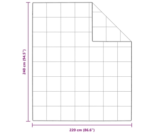 Ziemas Gultas Pārklājs Komplekts Ar Spilvenu 3 Pcs Balts 240 X 220 Cm