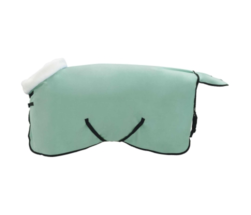 Zirgu Sega Pilnīgi Tumši Zaļa 75 Cm Polāra Poliestera Vidaxl