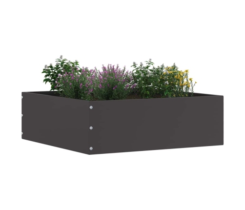 Zāliena Apmale Melna 40 X 40 X 13 Cm Tērauds Vidaxl