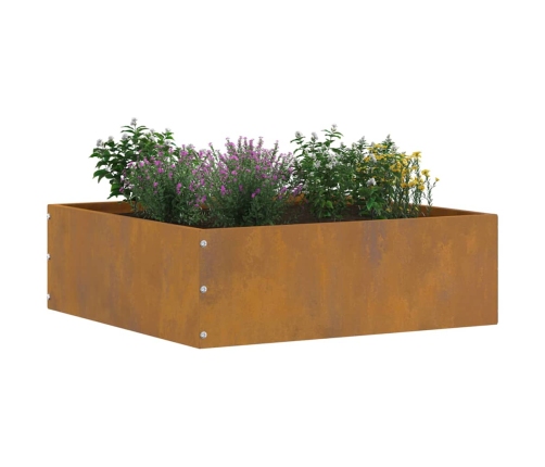 Zāliena Apmale Rūsa 40 X 40 X 13 Cm Novecināts Tērauds Vidaxl