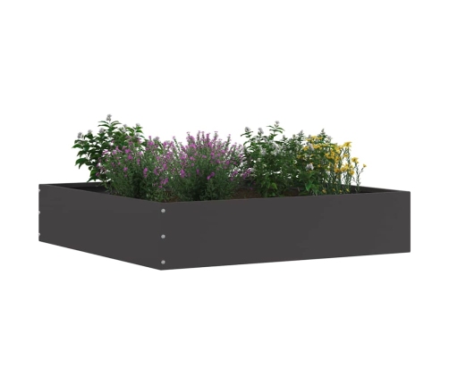 Zāliena Apmale Melna 60 X 60 X 13 Cm Tērauds Vidaxl