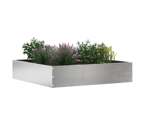 Zāliena Apmale Sudraba 60 X 60 X 13 Cm Nerūsējošs Tērauds Vidaxl