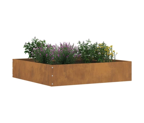 Zāliena Apmale Rūsa 60 X 60 X 13 Cm Novecināts Tērauds Vidaxl