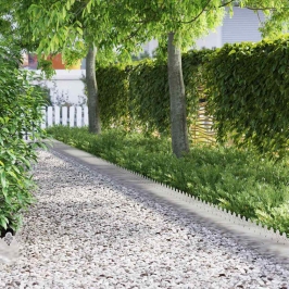 Zāliena Apmales 30 Pcs Sudraba 103 X 0,05 X 22 Cm Vidaxl