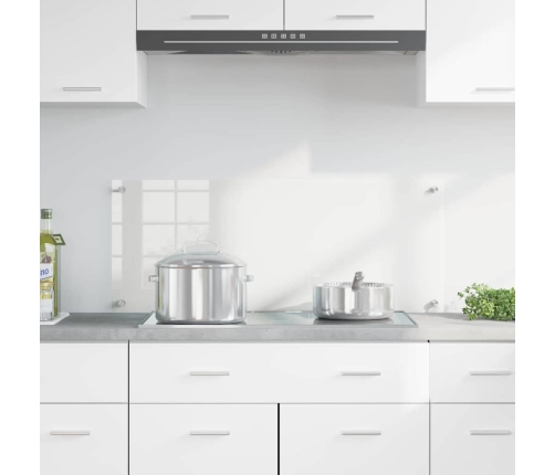 Virtuves Aizsargpanelis Caurspīdīgs 100 X 40 X 0.8 Cm Vidaxl