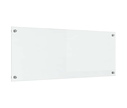 Virtuves Aizsargpanelis Caurspīdīgs 100 X 40 X 0.8 Cm Vidaxl