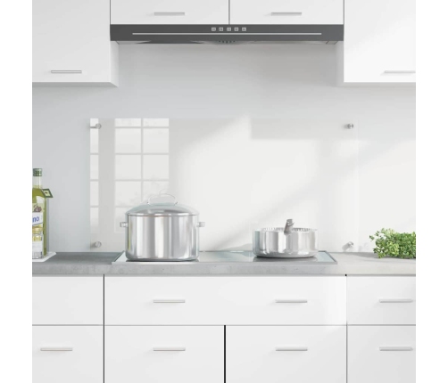 Virtuves Aizsargpanelis Caurspīdīgs 100 X 50 X 0.8 Cm Vidaxl