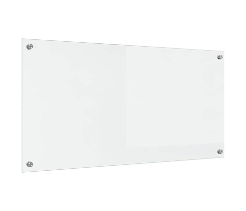 Virtuves Aizsargpanelis Caurspīdīgs 100 X 50 X 0.8 Cm Vidaxl