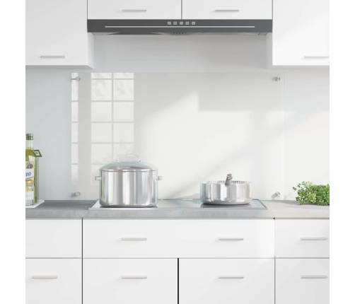 Virtuves Aizsargpanelis Caurspīdīgs 100 X 60 X 0.8 Cm Vidaxl