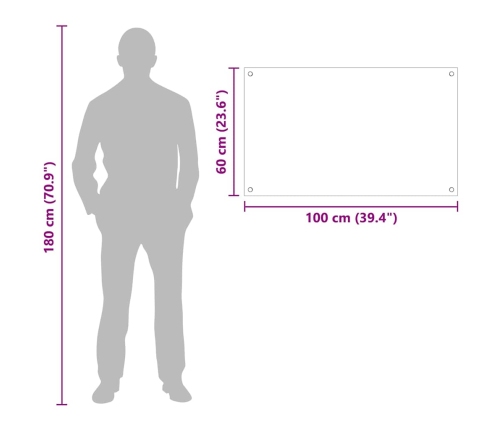 Virtuves Aizsargpanelis Caurspīdīgs 100 X 60 X 0.8 Cm Vidaxl
