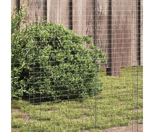 Vistu Būris 2 Pcs Sudraba 600 X 100 X 210 Cm Cinkots Tērauds Vidaxl