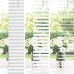 Venēcijas Žalūzija Regulējams Balts 150 X 50 Cm Pvc Vidaxl