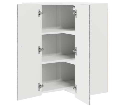 Virtuves Sienas Skapītis Pelēks Sonoma 57 X 57 X 80 Cm Vidaxl