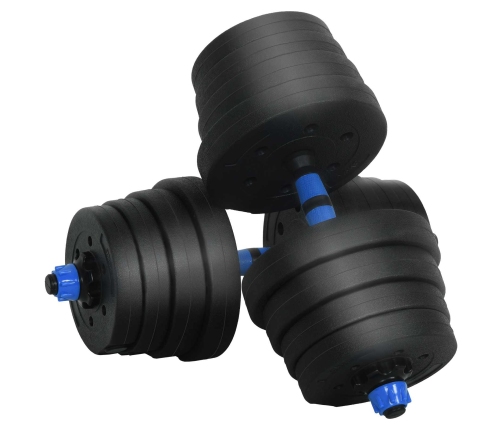 2-In-1 Hanteles Komplekts Melna Un Zila 121 X 19,5 X 19,5 Cm Vidaxl