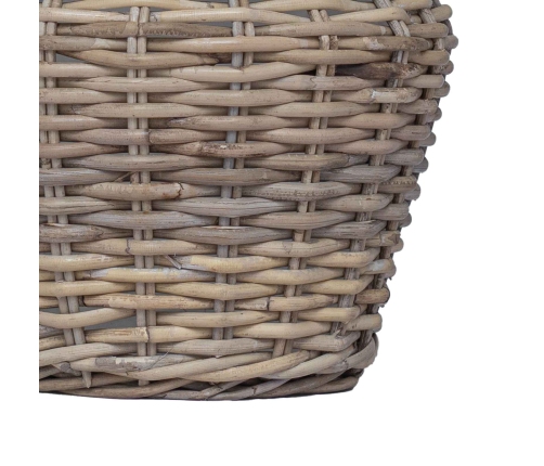 Ziedu Grozs Ar Uzglabāšanu 2 Pcs Pelēka Lacak Krūmos Vidaxl