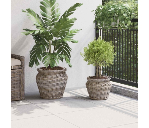 Ziedu Grozs Ar Uzglabāšanu 2 Pcs Pelēka Lacak Krūmos Vidaxl