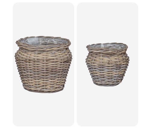 Ziedu Grozs Ar Uzglabāšanu 2 Pcs Pelēka Lacak Krūmos Vidaxl