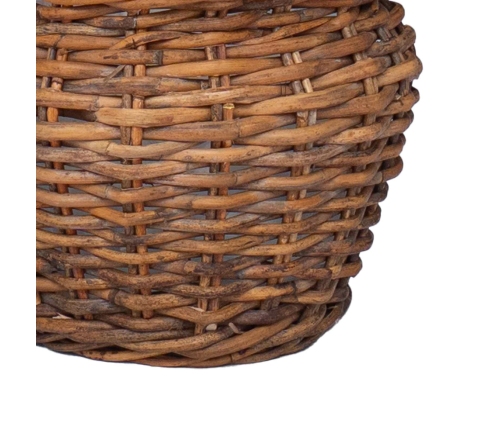 Ziedu Grozs Ar Uzglabāšanu 2 Pcs Brūna Lacak Krūmos Vidaxl