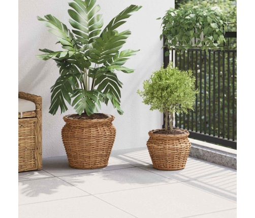 Ziedu Grozs Ar Uzglabāšanu 2 Pcs Brūna Lacak Krūmos Vidaxl