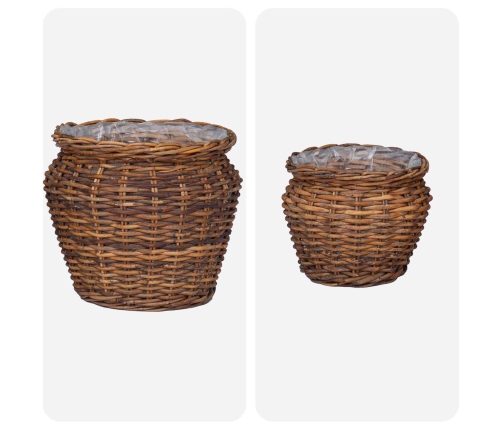 Ziedu Grozs Ar Uzglabāšanu 2 Pcs Brūna Lacak Krūmos Vidaxl