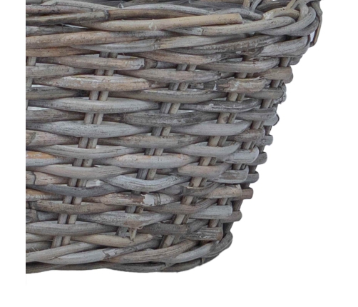 Ziedu Grozs Ar Uzglabāšanu 2 Pcs Pelēka Lacak Krūmos Vidaxl