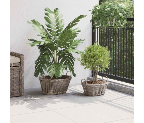 Ziedu Grozs Ar Uzglabāšanu 2 Pcs Pelēka Lacak Krūmos Vidaxl