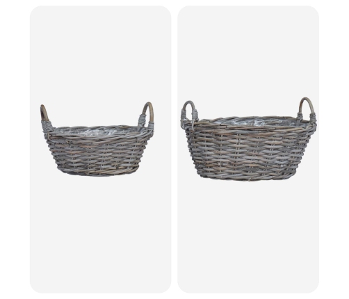 Ziedu Grozs Ar Uzglabāšanu 2 Pcs Pelēka Lacak Krūmos Vidaxl