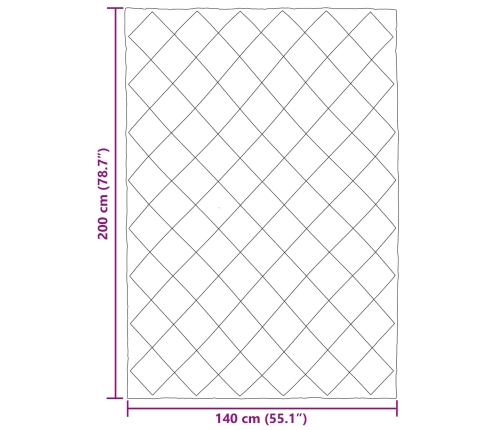 Vasaras Segas Antracīts Un Taupe 200 X 140 Cm Mikrošķiedra Vidaxl