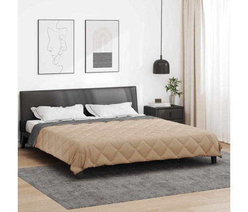 Vasaras Segas Antracīts Un Taupe 220 X 260 Cm Mikrošķiedra Vidaxl