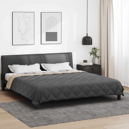 Vasaras Segas Antracīts Un Taupe 240 X 260 Cm Mikrošķiedra Vidaxl