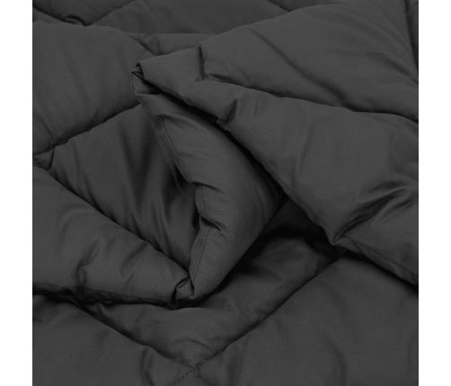 Ziemas Gultas Sega Antracīts 220 X 135 Cm Mikrošķiedra Vidaxl