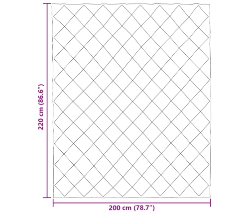 Ziemas Gultas Sega Melns Un Anthracite 220 X 200 Cm Vidaxl