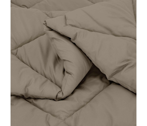 Ziemas Gultas Sega Gaiši Pelēks 200 X 140 Cm Mikrošķiedra Vidaxl