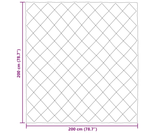 Ziemas Gultas Sega Gaiši Pelēks Un Antracīts 200 X 200 Cm Vidaxl