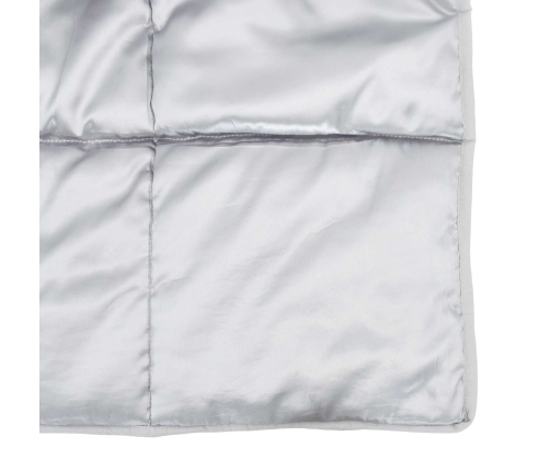 Ziemas Gultas Sega Sudraba 200 X 140 Cm Satīns Un Mikrošķiedra Vidaxl