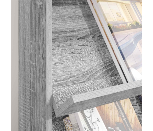 Žurnālu Statīvs Ar Plauktu Pelēks Sonoma 70 X 41 X 156 Cm Vidaxl