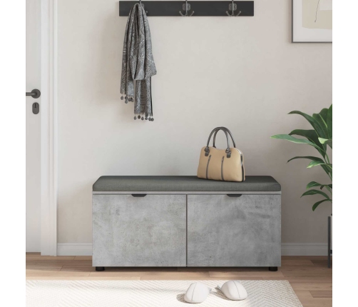 Zāles Sols Ar Spilvenu Ar Durvīm Betona Pelēks 100 X 38 X 46 Cm Vidaxl